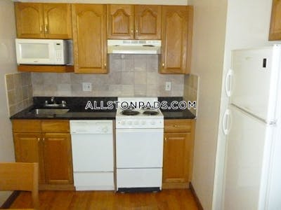 Allston Apartment for rent Studio 1 Bath Boston - $2,150