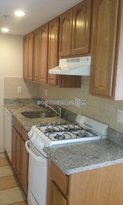 Allston/brighton Border Apartment for rent 1 Bedroom 1 Bath Boston - $2,100