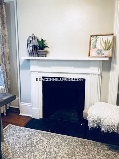 Beacon Hill 1 Bed, 1 Bath Unit Boston - $2,950