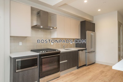 Mission Hill 4 Beds 2 Baths Boston - $7,250