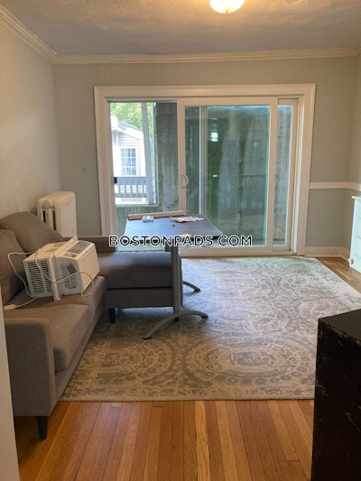 Brighton Apartment for rent 4 Bedrooms 1 Bath Boston - $7,500