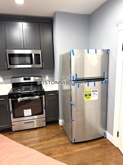 Roxbury Apartment for rent 3 Bedrooms 1.5 Baths Boston - $4,200