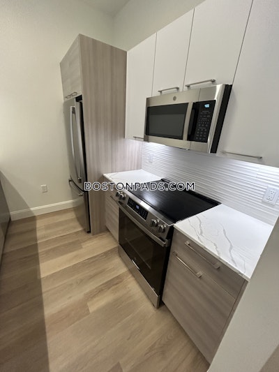 Allston Apartment for rent 1 Bedroom 1 Bath Boston - $3,500 No Fee