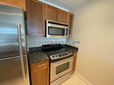 West End Apartment for rent 1 Bedroom 1 Bath Boston - $2,930