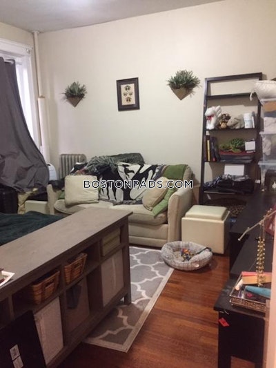 Allston Apartment for rent Studio 1 Bath Boston - $2,300