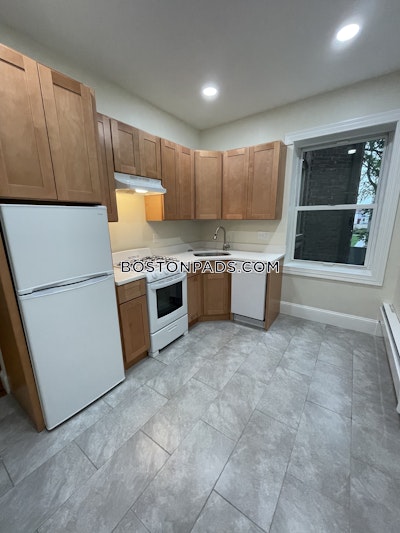 Allston Apartment for rent 1 Bedroom 1 Bath Boston - $2,150