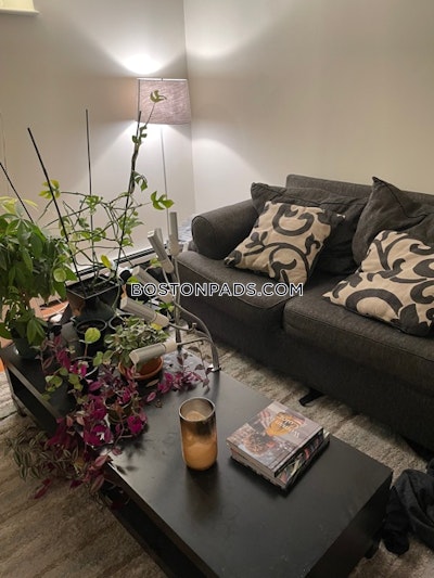 Brighton Apartment for rent 1 Bedroom 1 Bath Boston - $2,100